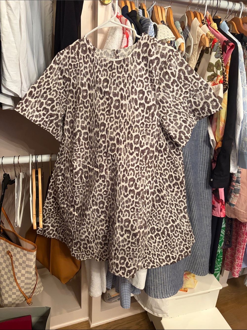 Maeve Beige and Brown Leopard Print Mini Dress